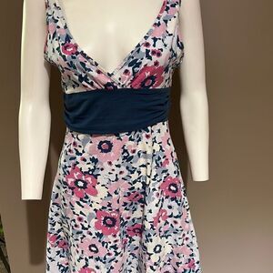 Patagonia Margot Dress Medium Blue and Pink Floral